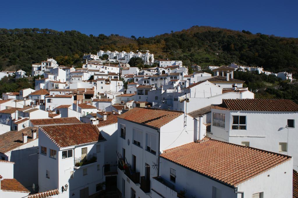 Casas Rurales Jardines Del Visir Genalguacil Exterior foto